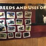 2019_OTRA_0628 (September 01, 2019)